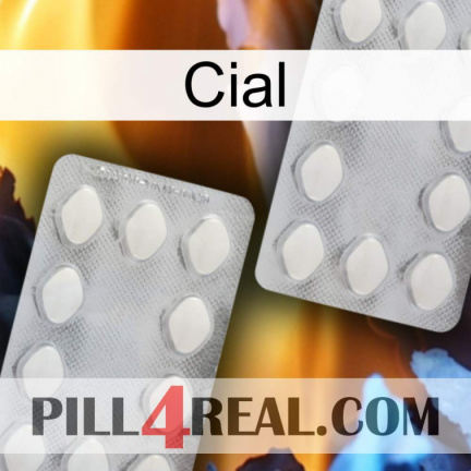 Cial 17